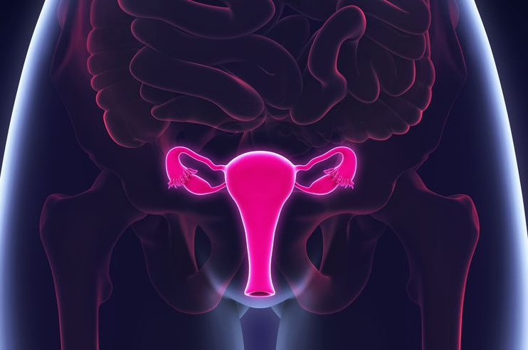 laparoscopic-hysterectomy-naina-polyclinic